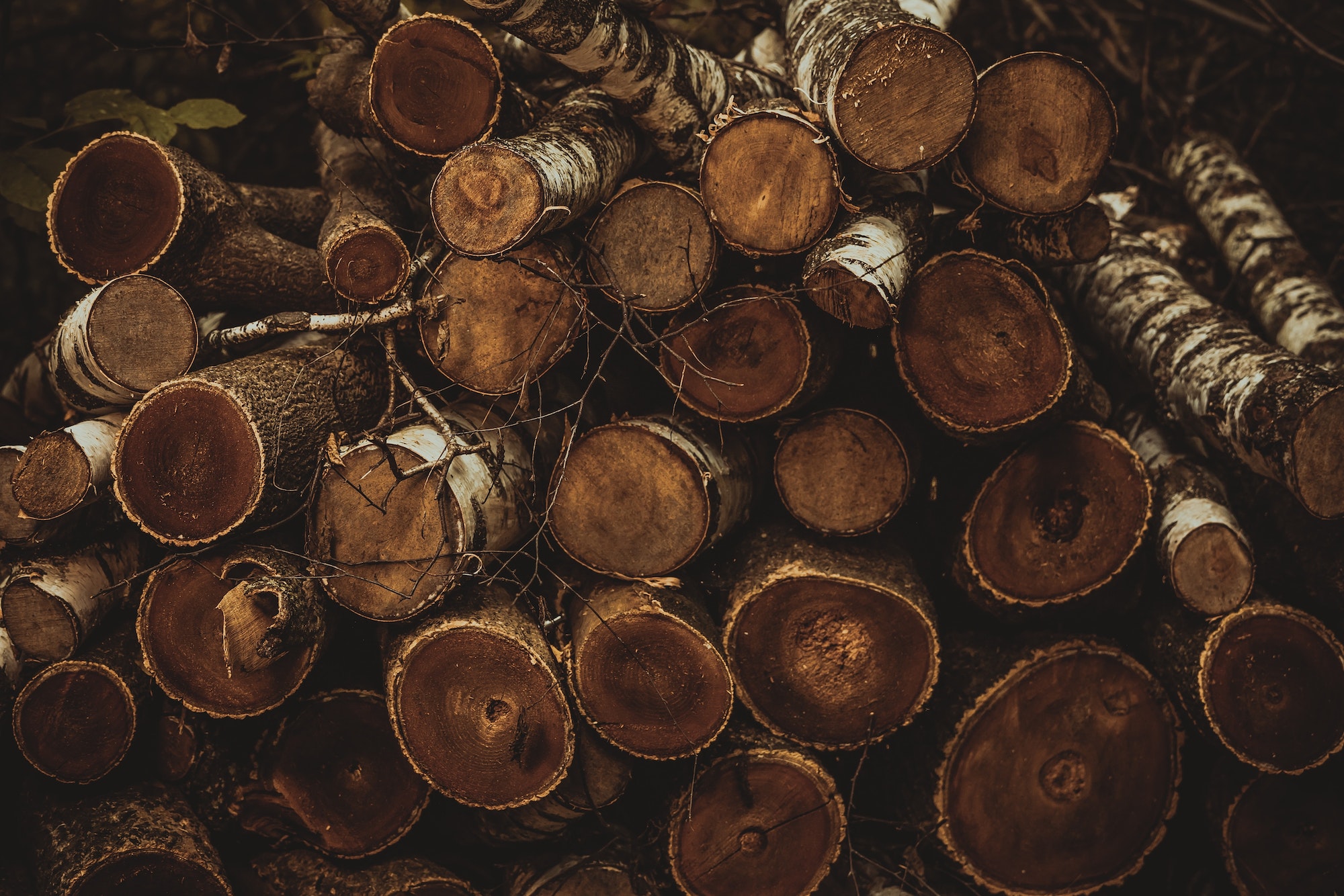 Wood and timber