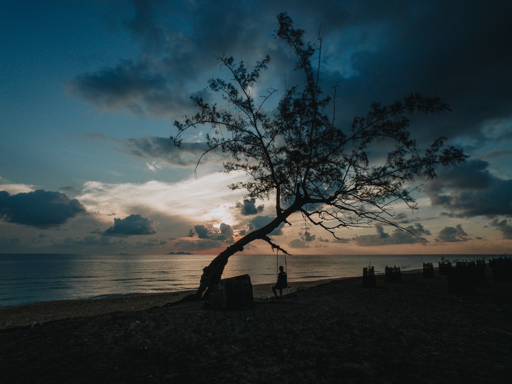 Lonely people lonely tree