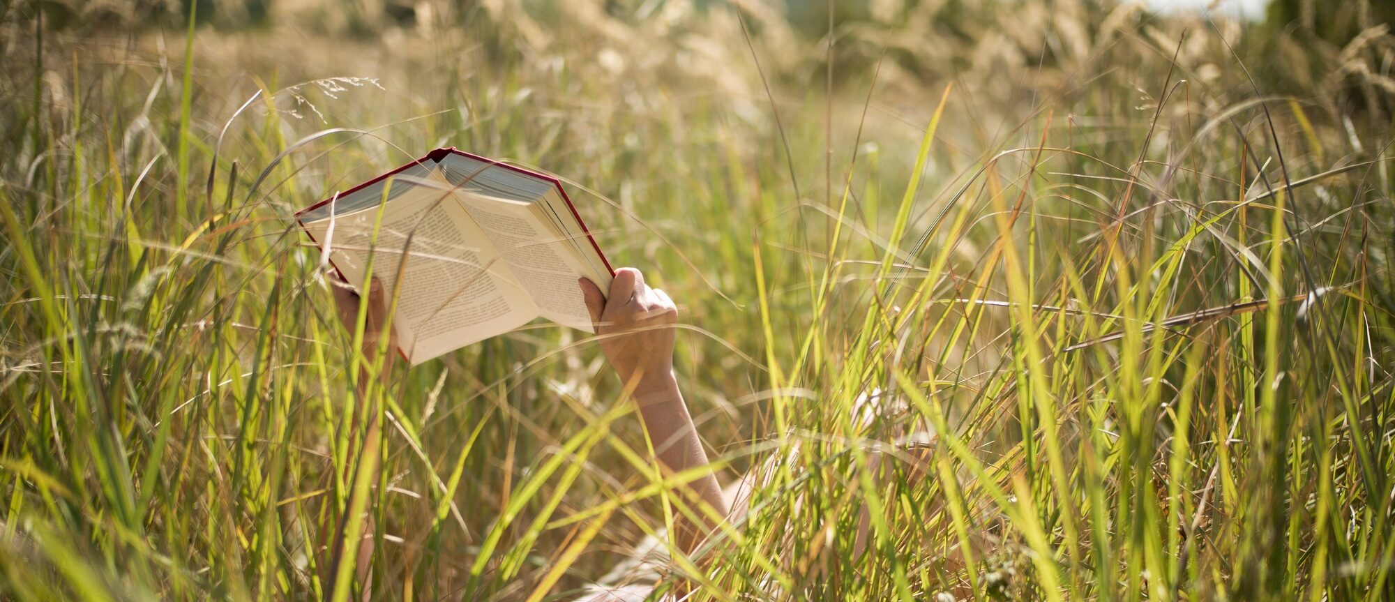 Woman lying in long grass reading book